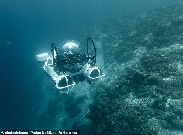 95047433-14380197-Kelp_tivating_Patina_Maldives_offers_guests_the_chance_to_explor-a-4_1739271355212.jpeg