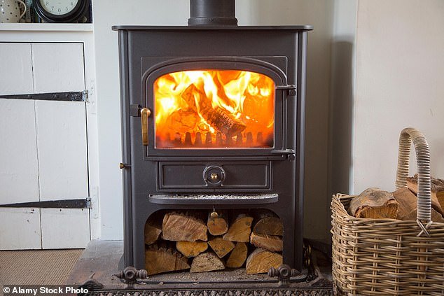 89863665-14647197-The_home_heating_devices_which_have_become_a_popular_fixture_in_-a-14_174557499074.jpeg