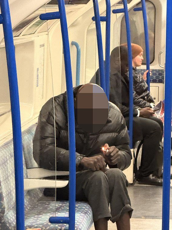 96987061-0-A_man_on_the_tube_horrified_commuters_when_he_started_smoking_cr-a-1_1744012499998.jpg