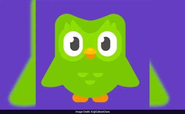 k0u98a88_duolingo_625x300_29_April_25.jpeg