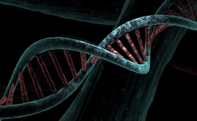 qmt8jfko_dna-generic_625x300_20_November_21.jpg