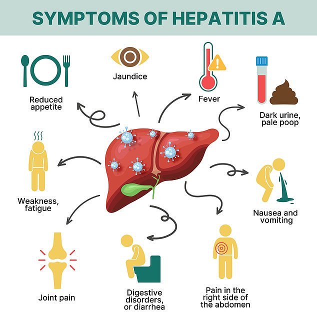 99251819-14800947-Hepatitis_often_has_no_noticeable_symptoms_but_tell_tale_signs_c-a-13_174963721411.jpeg