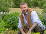 ¿Qué tan hermoso es tu jardín? Desde el juicio de la sociedad sobre los “céspedes limpios” hasta los jacuzzis, las fuentes y para qué debería utilizar su invernadero, es la prueba definitiva.