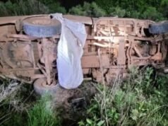 Un padre y su hija murieron por picaduras de abeja cuando un automóvil chocó contra una colmena al costado de la carretera