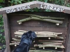 ¿Deberías tirarle un palo a tu perro? La biblioteca de sucursales del parque mueve la cola por seguridad.