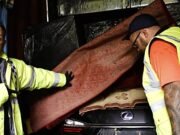 Dónde termina su automóvil robado: una ‘aguja’ de contenedor de envío encontrada escondida en un enorme ‘pajar’, que contiene £230,000 en autos robados para ser enviados a todo el mundo.