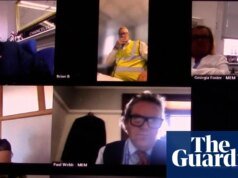 Facciones, farsa y perro del caos en el jardín de Inglaterra Reforma del Reino Unido | Reforma del Reino Unido