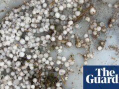 Alrededor de 25.000 personas se encuentran sin electricidad en Queensland y cortes en Victoria después del día más lluvioso del estado en más de un año. clima australiano