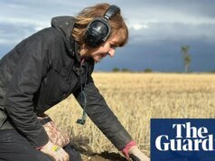 Se realizan excavaciones arqueológicas para descubrir los restos del heroico accidente piloto de la Segunda Guerra Mundial | Segunda Guerra Mundial