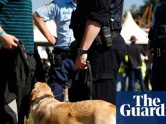 Perros rastreadores y registros al desnudo en festivales Los laboristas de Nueva Gales del Sur ignoran los propios consejos de la cumbre sobre drogas Nueva Gales del Sur