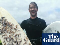 Se ha encontrado una tabla de surf que viajó a la deriva 2.400 kilómetros desde Australia hasta Nueva Zelanda y luego encontró a su dueño. Nueva Zelanda