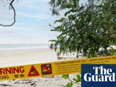 Niño de 14 años hospitalizado tras el ataque de un cocodrilo mientras pescaba en una playa del extremo norte de Queensland | Queensland