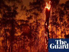 Los planes climáticos mundiales están muy por debajo de las medidas necesarias, según un análisis Copa 30