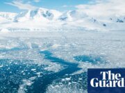 Rusia arresta a un biólogo ucraniano por apoyar la prohibición de la pesca de krill en la Antártida | Antártida