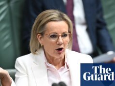 Susan Leigh usa la camiseta de la División de la Victoria de Anthony Albanese mientras la Coalición se separa nuevamente | Susan Leigh