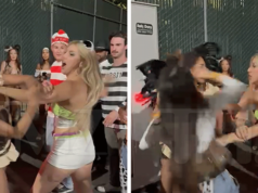 Mujeres sexys disfrazadas tienen una aterradora pelea de gatas en una fiesta de Halloween, mira el video