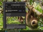 La aplicación Bing Wallpaper en Windows 11 abre Bing.com si hace clic en cualquier lugar del escritorio