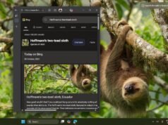 La aplicación Bing Wallpaper en Windows 11 abre Bing.com si hace clic en cualquier lugar del escritorio
