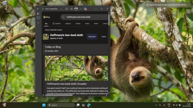 Bing-Wallpaper-app-opens-browser-when-clicked-on-the-desktop-background.jpg