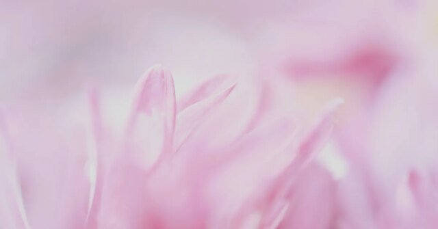 Leaker-backs-iPhone-18-Pro-variable-aperture-lens-reports.jpg
