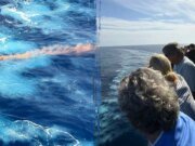 Se busca a un tripulante del crucero Viking en el Mediterráneo