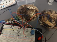 Una computadora viviente alimentada por hongos
