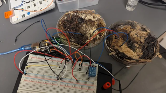 living-computer-powered-by-mushrooms.webp.webp