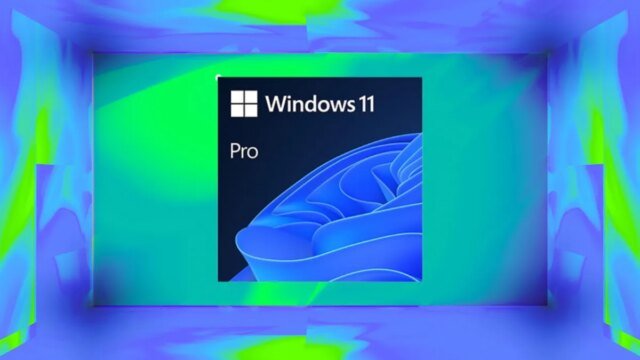 microsoft-windows-11-pro-box-art.jpg