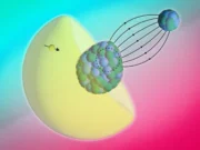 Los físicos del MIT han encontrado una manera de mirar el interior de los átomos