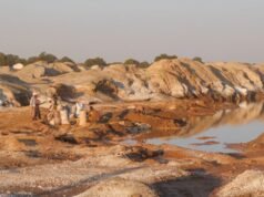 Estados Unidos quiere una asociación africana para romper el dominio de tierras raras de China