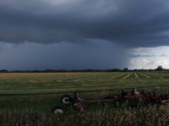 Canadá está a punto de perder su estatus de erradicación del sarampión