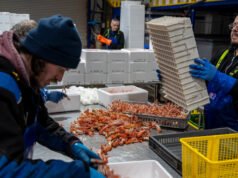 Mientras el Reino Unido intenta frenar la inmigración, la Escocia rural quiere atraer trabajadores extranjeros