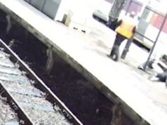 Momento impactante: un pasajero inocente grita “no soy yo” mientras la policía le aplica una pistola Taser después de que un ataque con cuchillo dejara 11 heridos en el andén del tren de Huntingdon.