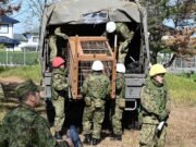 Japón envía tropas para frenar un aumento de los ataques de osos después de que más de 100 personas resultaran heridas en seis meses