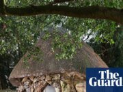 El cobertizo del jardín del pionero de las vacunas Edward Jenner es una tradición vinculada al registro de riesgos