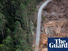 Exenciones “extremadamente inusuales” en las leyes ambientales laborales están abiertas a intervención, dicen expertos en integridad Política australiana