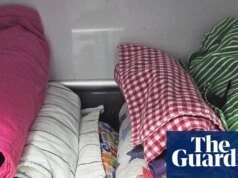 Unos 120 zorros voladores hospitalizados tras granizada masiva en colonia de Queensland | fauna