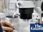 No diagnosticar la infertilidad masculina tratable conduce a una FIV innecesaria, dicen los expertos Problemas de fertilidad