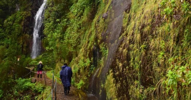 20trav-madeira-hiking-qlbz-facebookJumbo.jpg