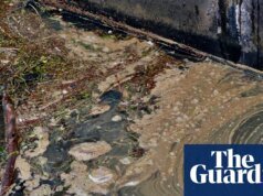 A los jefes de seis cuerpos de agua se les bloquearon £ 4 millones en bonificaciones según las nuevas reglas, dijo Ofwat