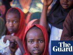 A medida que aumentan las críticas, ¿están los Emiratos Árabes Unidos dispuestos a retirarse de la milicia RSF de Sudán? | el sudán