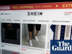 Shin cooperará con la investigación francesa sobre la venta de muñecas sexuales infantiles shin