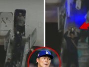 Aterriza en Los Ángeles después de que Los Angeles Dodgers ganaran la Serie Mundial