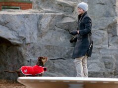 Tom Brady revela que el nuevo perro Juni es un clon del amado Louie, quien murió en 2023 – The Mercury News