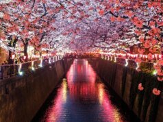 Japón se convertirá en el país número 29 en tener una tienda de aplicaciones para iPhone de terceros