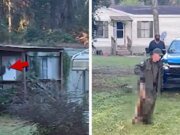 Mire en vídeo el momento en que un mono escapa de la muerte a tiros de su madre en Mississippi