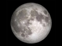 Este es el mejor momento para ver la superluna de noviembre, la luna más brillante de 2025