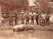 Horrible zoológico humano: Imágenes impactantes muestran cómo los occidentales enjaularon a las tribus ‘primitivas’ con animales.