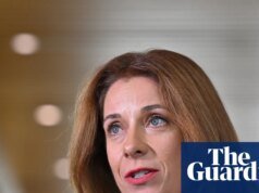 Annika Wells ha reclamado más de 8.500 dólares por un viaje familiar a Melbourne durante el fin de semana de la Gran Final de la AFL durante tres años. política australiana