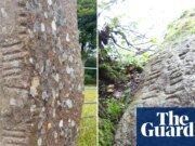 Los lingüistas comenzaron a compilar el primer diccionario completo de la antigua lengua celta.